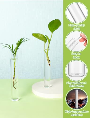XGHSHW 8 Tube Glass Plant Propagation Stations Clear Glass Test Tubes Tiered Planters Accessories for Home Office Plant Hanger Flower Vases Wall Decor Hydroponic Cuttings Clear Vases - Image 3