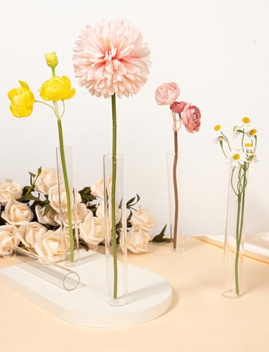 XGHSHW 8 Tube Glass Plant Propagation Stations Clear Glass Test Tubes Tiered Planters Accessories for Home Office Plant Hanger Flower Vases Wall Decor Hydroponic Cuttings Clear Vases - Image 4