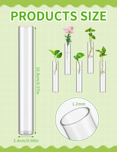 XGHSHW 8 Tube Glass Plant Propagation Stations Clear Glass Test Tubes Tiered Planters Accessories for Home Office Plant Hanger Flower Vases Wall Decor Hydroponic Cuttings Clear Vases - Image 2