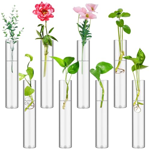 XGHSHW 8 Tube Glass Plant Propagation Stations Clear Glass Test Tubes Tiered Planters Accessories for Home Office Plant Hanger Flower Vases Wall Decor Hydroponic Cuttings Clear Vases - Image 1