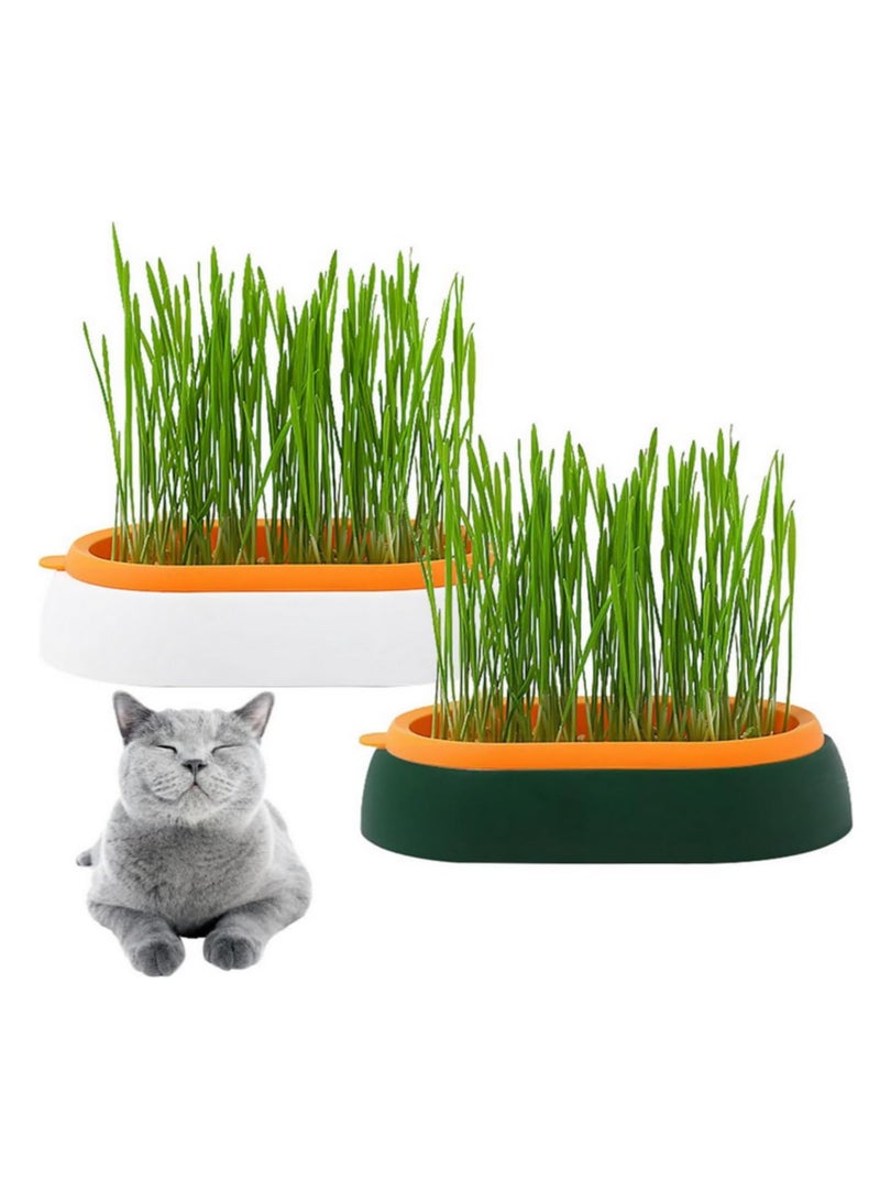 2 قطعة صندوق زراعة عشب القطط - نباتات هيدروبونيك في أصص، صينية تنمية لتحسين الهضم، دفيئة صغيرة، وجبة خفيفة لإزالة كرات الشعر وتنظيف المعدة، وعاء زراعة عشب - Image 1