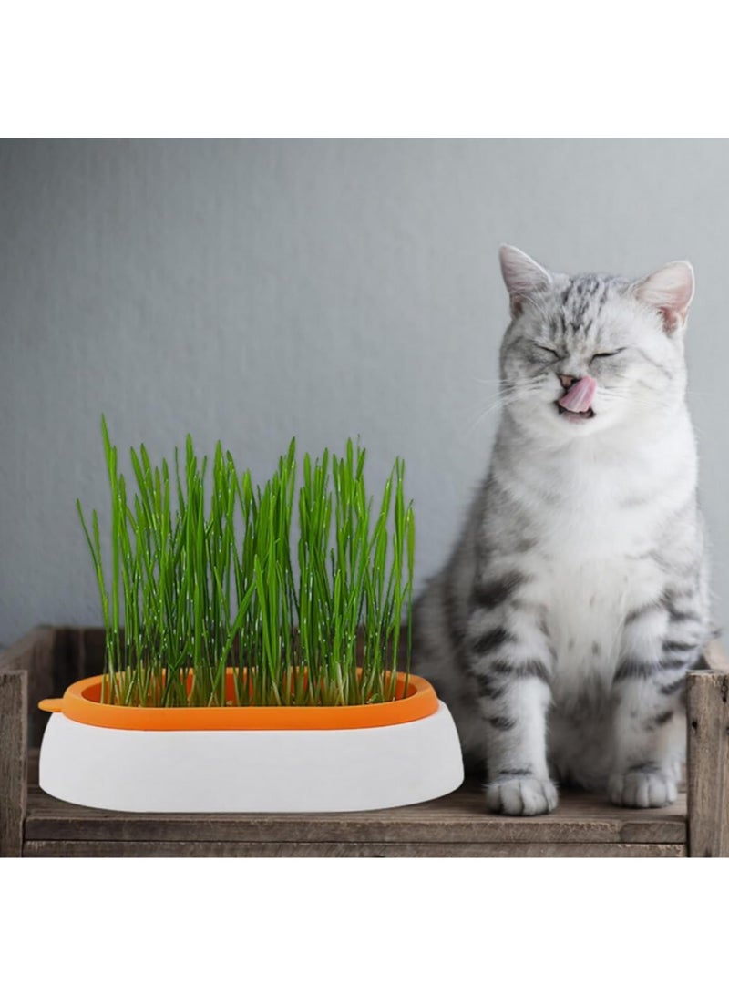 2 قطعة صندوق زراعة عشب القطط - نباتات هيدروبونيك في أصص، صينية تنمية لتحسين الهضم، دفيئة صغيرة، وجبة خفيفة لإزالة كرات الشعر وتنظيف المعدة، وعاء زراعة عشب - Image 3