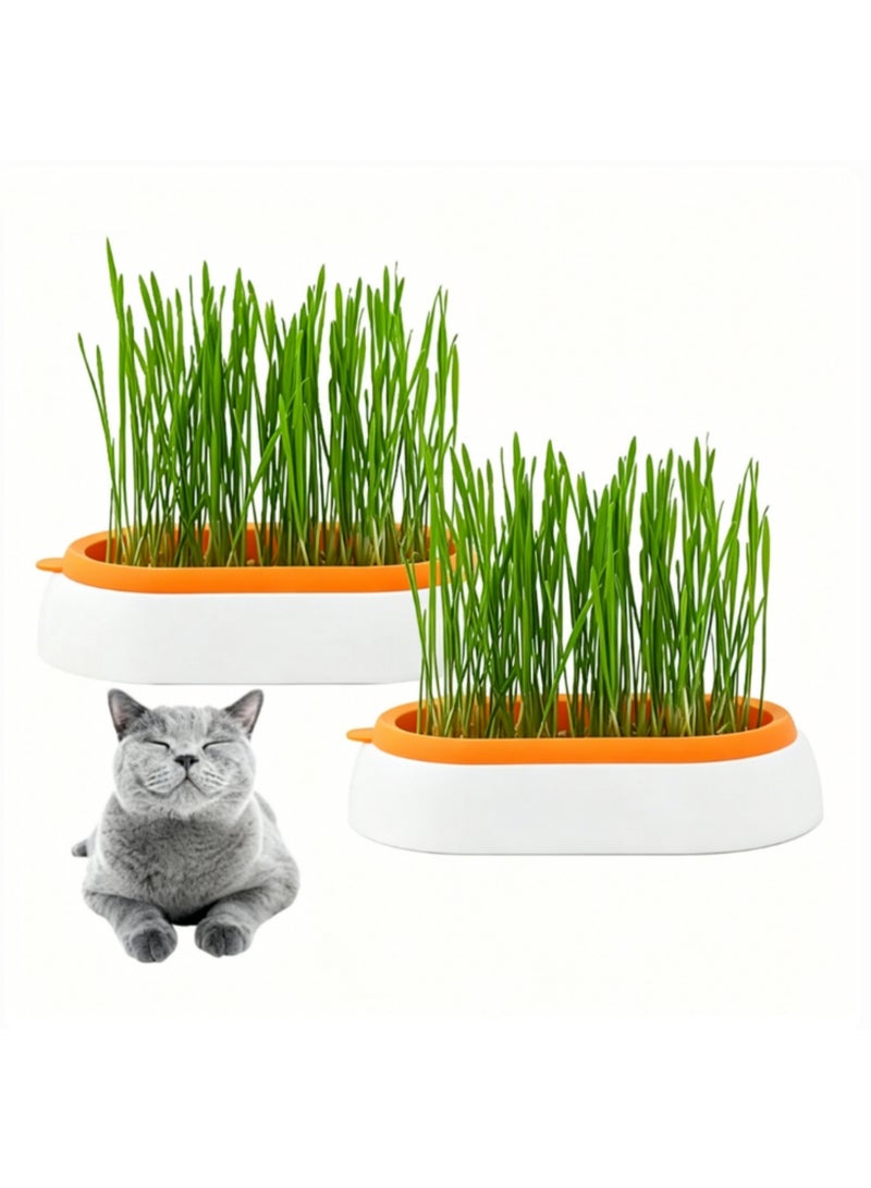 2pcs Pet Cat Grass Potted Hydroponic Plant Digestion Growing Tray Greenhouse Snack To Hair Ball Cleaning Stomach Grass Pot Grow Box - Image 1