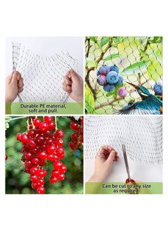 Generic Garden Reusable Anti Bird Protection Mesh Netting Protect Seedlings Plants Flowers Fruit Green 2 x 10M  - Image 3