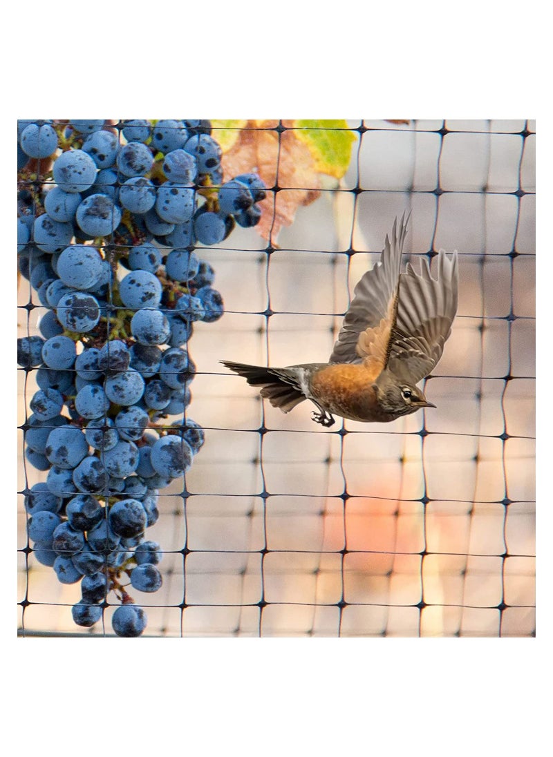 Garden Reusable Anti Bird Protection Mesh Netting Protect Seedlings Plants Flowers Fruit Green 2 x 10M