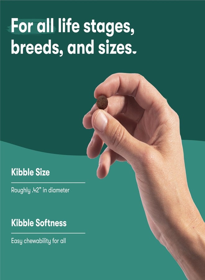 Jinx Premium Grain-Free Dry Dog Food, for All Lifestages - Grass-Fed Lamb, Sweet Potato & Carrot Dog Food with Superfoods for Immune Support & Probiotics for Digestive Support - No Fillers - 4lb - Image 4