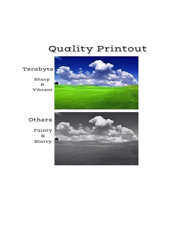 Terabyte 126A Drum Unit CE314A for Color LaserJet Pro M176 M177 Pro 100 CP1025 M275 - Image 3