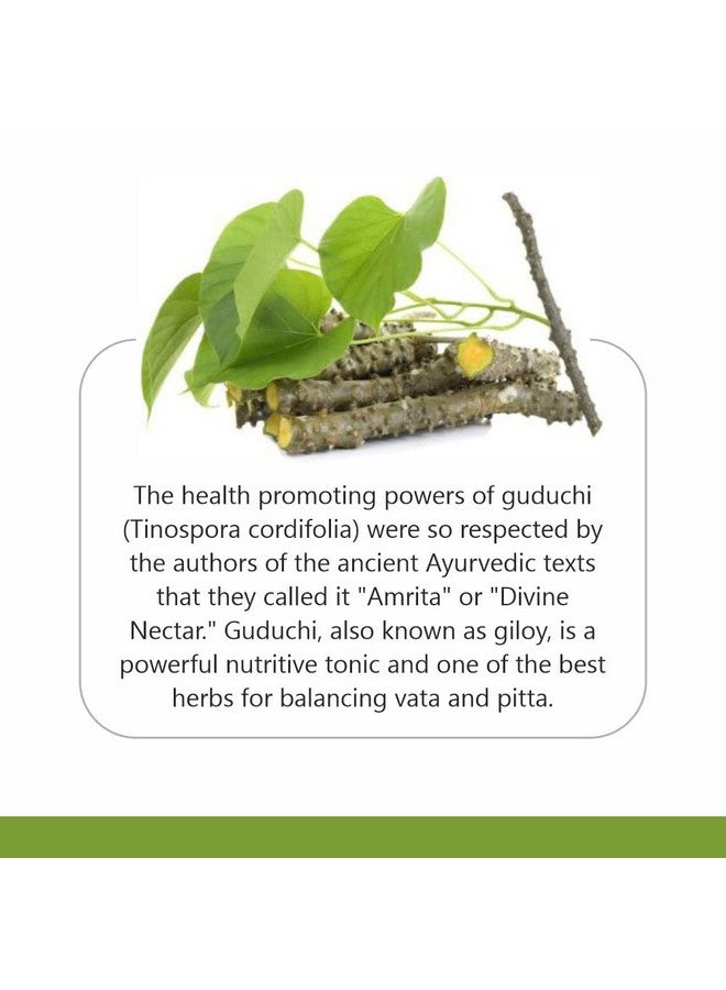 Herb Essential Pure Guduchi | Tinospora Cordifolia | Giloy Powder Organic - 400g - Image 4