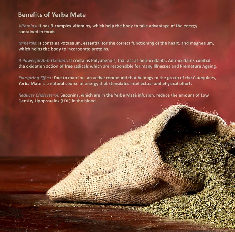 Sunshine Tea Yerba Mate Paradise ÔøΩ 40gm Tea JAR (Set of 4 Jar's) Blended with Cinnamon, Cardamom, Saffron & Green Tea - Image 3