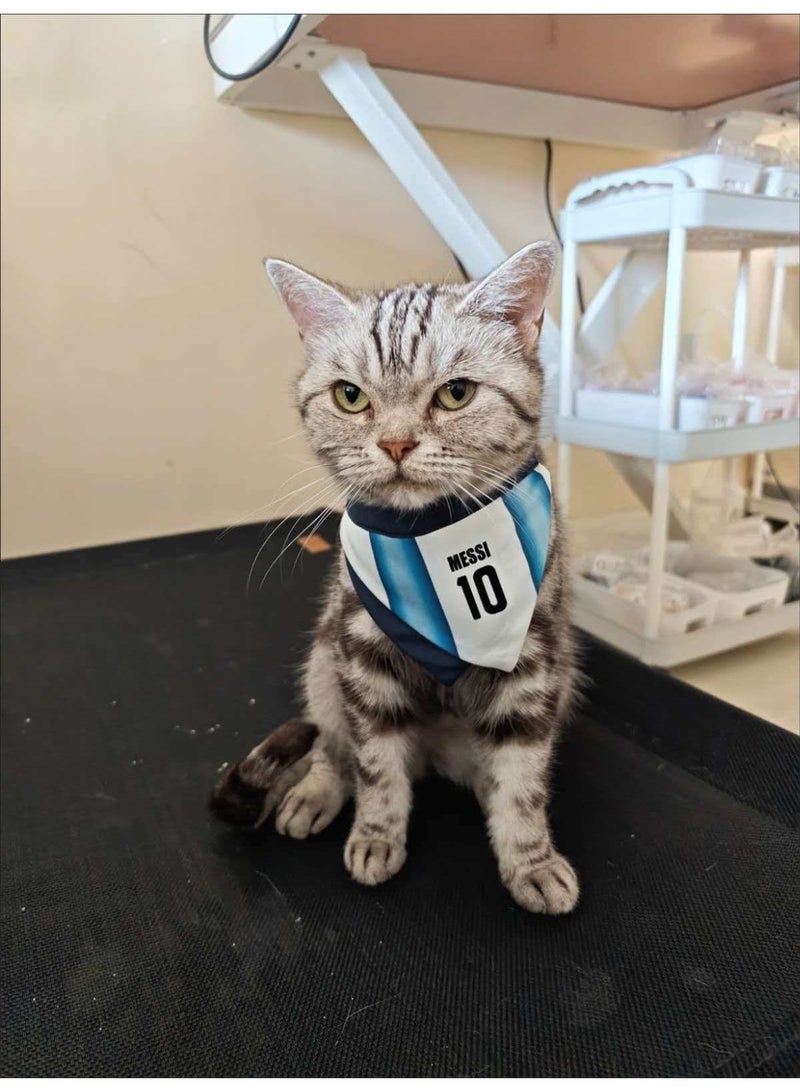 Size M Messi No.10 Argentina Pet Bandana, Adjustable Strap Cat Saliva Towel Football Themed Kitten Neck Scarf - Image 3