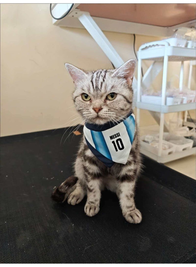Size M Messi No.10 Argentina Pet Bandana, Adjustable Strap Cat Saliva Towel Football Themed Kitten Neck Scarf - Image 1
