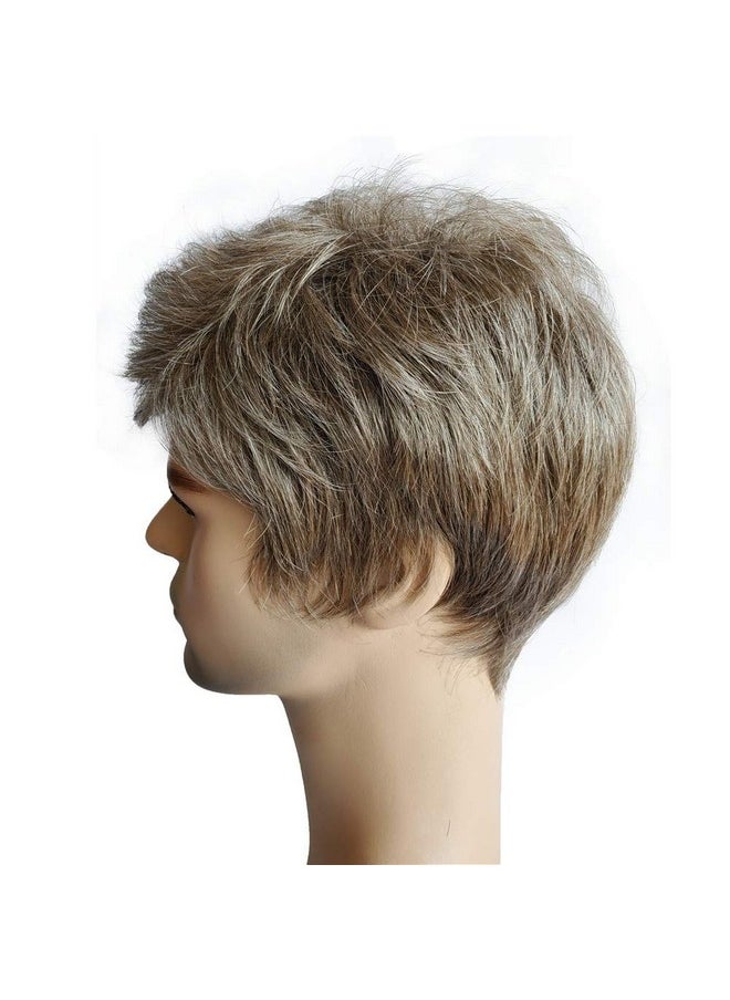 Aimole - Mens Wigs Short Straight Hair Brown Mix Sliver Natural Synthetic Full Wig - Image 1