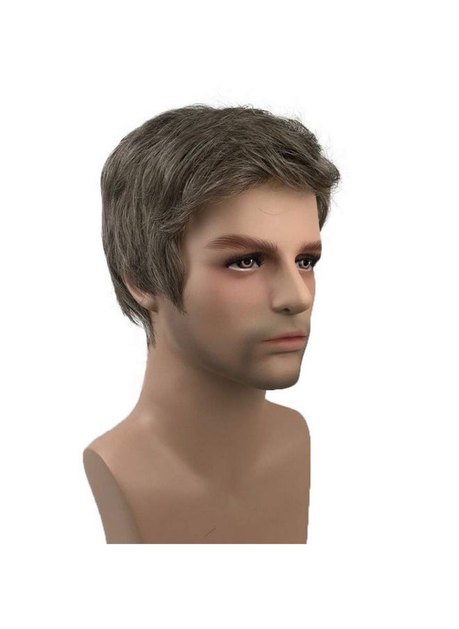 Aimole - Mens Wigs Short Straight Hair Brown Mix Sliver Natural Synthetic Full Wig - Image 1