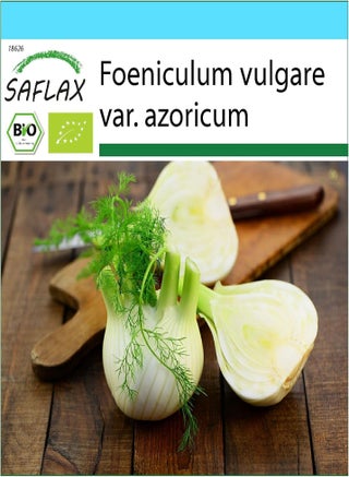 Gift Set - Organic - Florence Fennel - 100 Seeds - with Gift Box, Card, Label and Potting Substrate - Foeniculum vulgare VAR. azoricum - pzsku/Z290E03DC3D05B92D07BEZ/45/1743078505/25620682-aae9-4f4c-a348-ec2efc060ed2