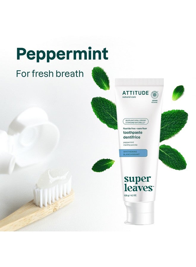 ATTITUDE Fluoride-Free Toothpaste, Plant- and Mineral-Based Ingredients, Vegan, Cruelty-Free and Sugar-Free, Whitening, Peppermint, 4.2 Oz - Image 5