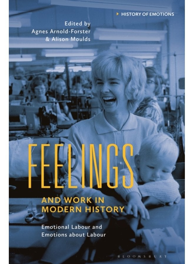 Feelings and Work in Modern History Emotional Labour and Emotions about Labour - Hardback