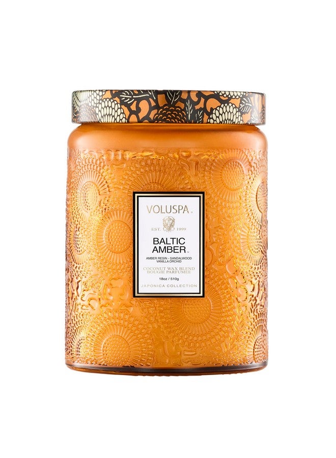 فولوسبا شمعة فولوسبا العنبر البلطيقي، وعاء شمعة كبير، 18 أونصة، مدة احتراق 100 ساعة، فتائل طبيعية بالكامل وشمع جوز الهند لحرق نظيف، نباتي، تم سكبها في الولايات المتحدة الأمريكية - Image 1