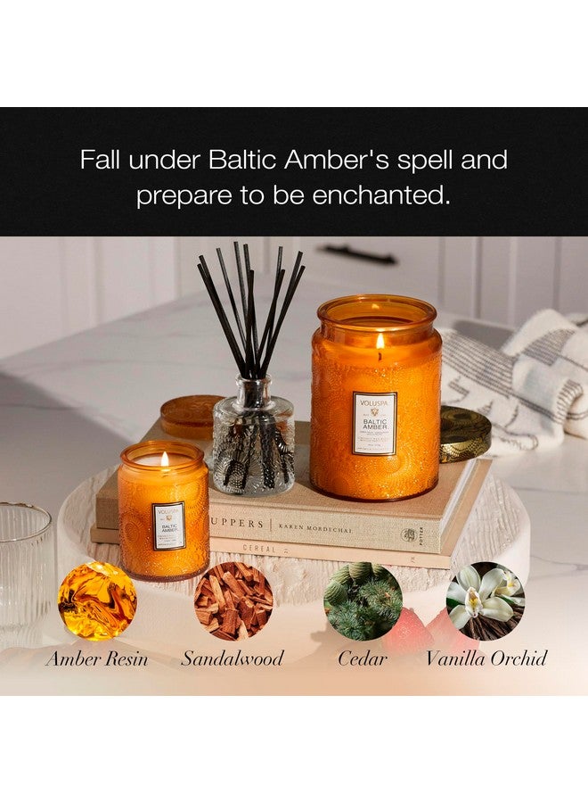 فولوسبا شمعة فولوسبا العنبر البلطيقي، وعاء شمعة كبير، 18 أونصة، مدة احتراق 100 ساعة، فتائل طبيعية بالكامل وشمع جوز الهند لحرق نظيف، نباتي، تم سكبها في الولايات المتحدة الأمريكية - Image 2