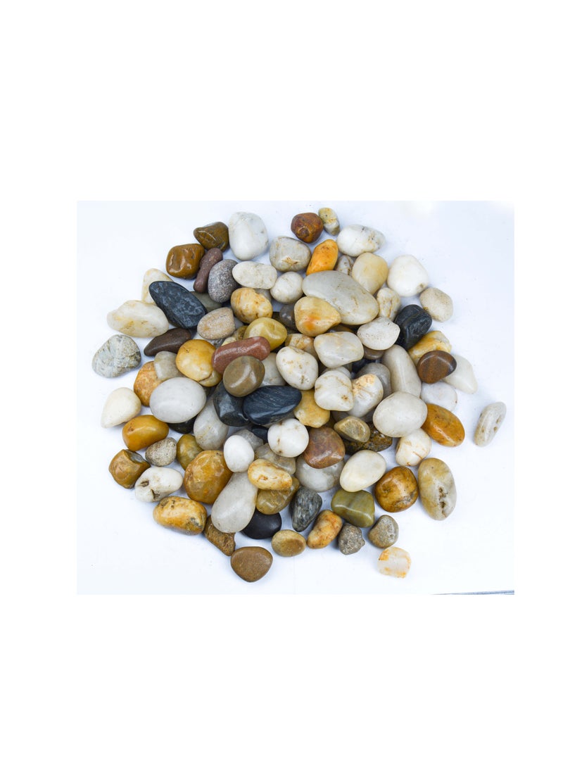 vsell24 5kg of 10-20 mm Indian Decorative Stones - Natural Smooth Pebbles for Aquariums, Vases, Terrariums, Lawns, and Garden Landscaping - Image 1