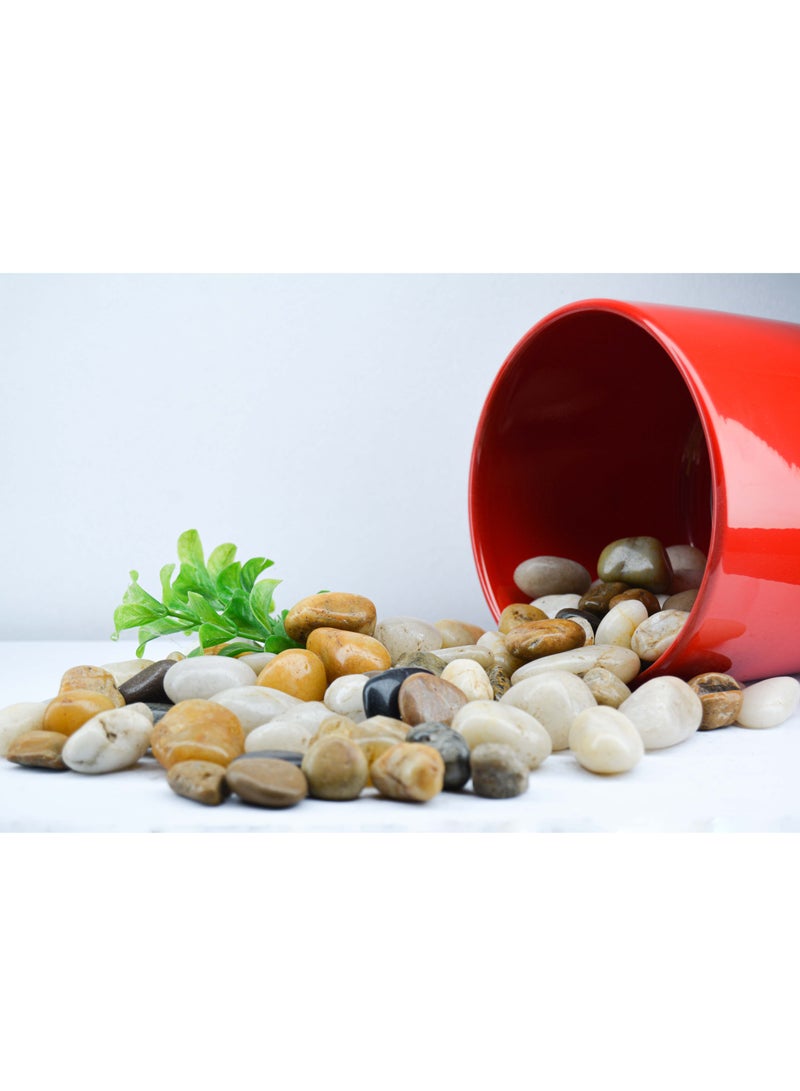 vsell24 5kg of 10-20 mm Indian Decorative Stones - Natural Smooth Pebbles for Aquariums, Vases, Terrariums, Lawns, and Garden Landscaping - Image 3