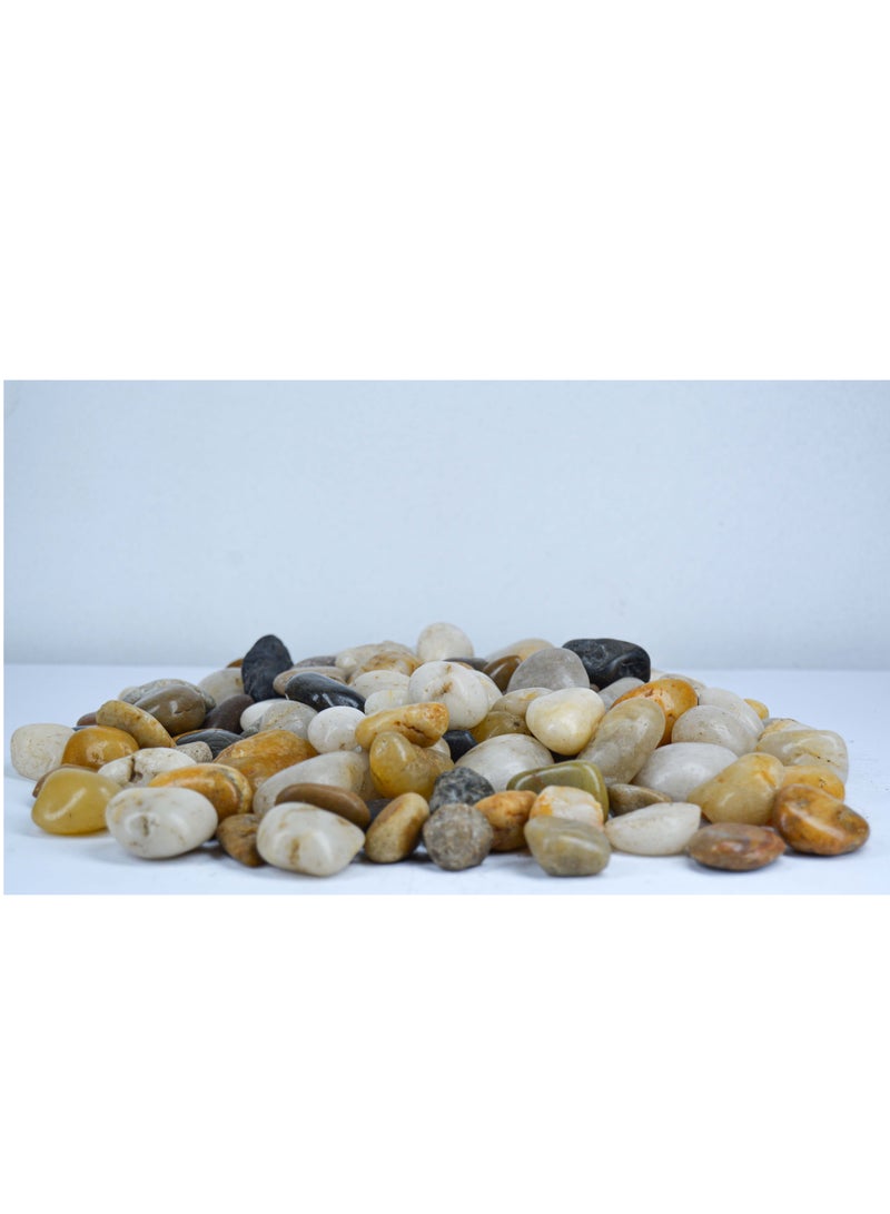 vsell24 5kg of 10-20 mm Indian Decorative Stones - Natural Smooth Pebbles for Aquariums, Vases, Terrariums, Lawns, and Garden Landscaping - Image 2