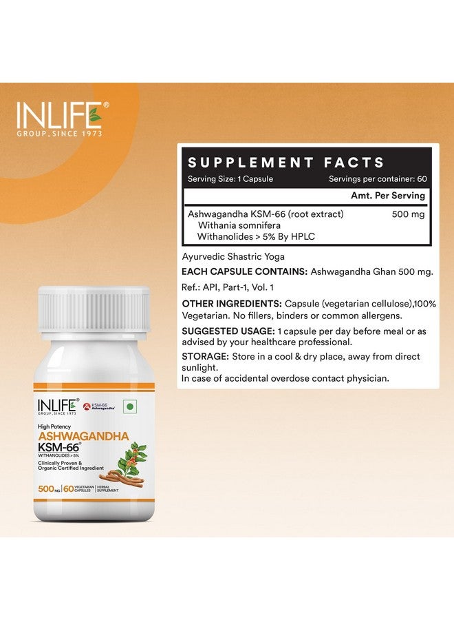INLIFE أشواغاندا KSM-66 (500 ملغ) | 60 كبسولة | تركيبة طبيعية قوية إضافية | تدعم القوة والطاقة | مستخلص ويثانيا سومنيفيرا (عبوة من 1) (عبوة من 1، 60، عدد) - Image 2
