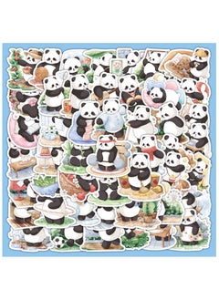 Panda Daily Life