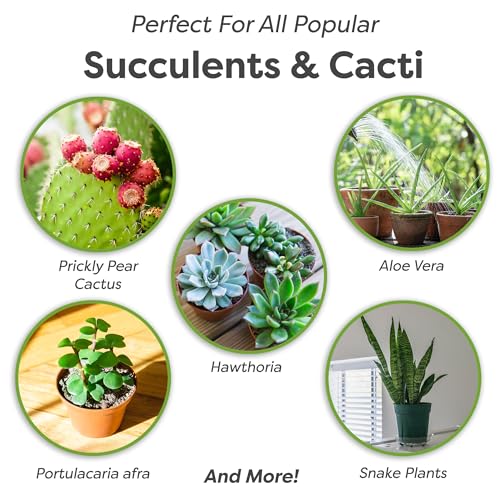 PERFECT PLANTS All Natural Succulent and Cactus Soil Mix by Perfect Plants | Made in The USA | 4 Quarts for All Succulent Varieties | Formulated for Proper Drainage - Image 3