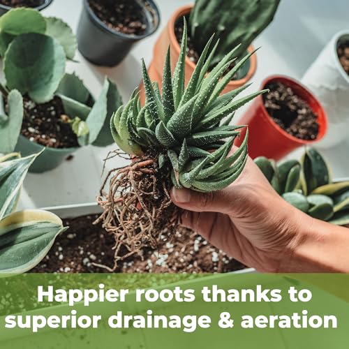 PERFECT PLANTS All Natural Succulent and Cactus Soil Mix by Perfect Plants | Made in The USA | 4 Quarts for All Succulent Varieties | Formulated for Proper Drainage - Image 4