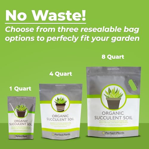 PERFECT PLANTS All Natural Succulent and Cactus Soil Mix by Perfect Plants | Made in The USA | 4 Quarts for All Succulent Varieties | Formulated for Proper Drainage - Image 5