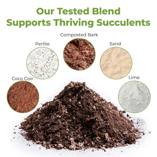 PERFECT PLANTS All Natural Succulent and Cactus Soil Mix by Perfect Plants | Made in The USA | 4 Quarts for All Succulent Varieties | Formulated for Proper Drainage - Image 2
