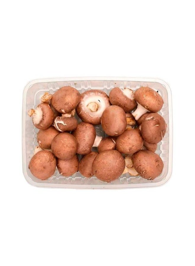 فطر بني, 250غ