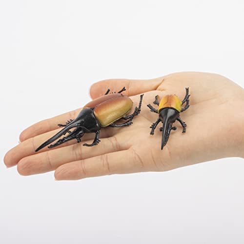 Bbiamsleep 10pcs Beetle Figurine Realistic Beetles Figure Models Garden Animal Simulated Beetle Figures - Image 3