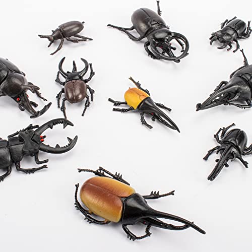 Bbiamsleep 10pcs Beetle Figurine Realistic Beetles Figure Models Garden Animal Simulated Beetle Figures - Image 2