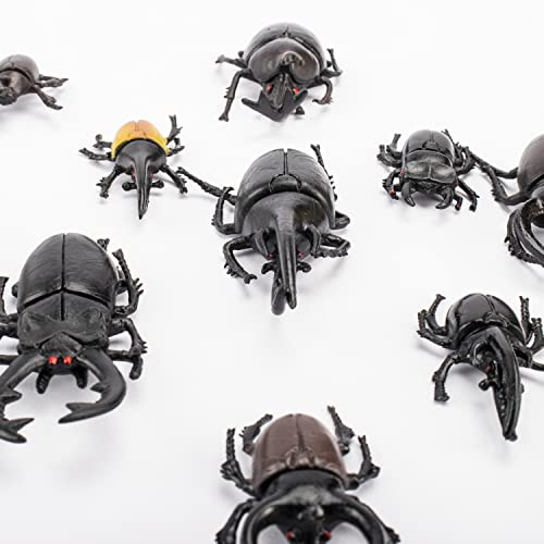 Bbiamsleep 10pcs Beetle Figurine Realistic Beetles Figure Models Garden Animal Simulated Beetle Figures - Image 4