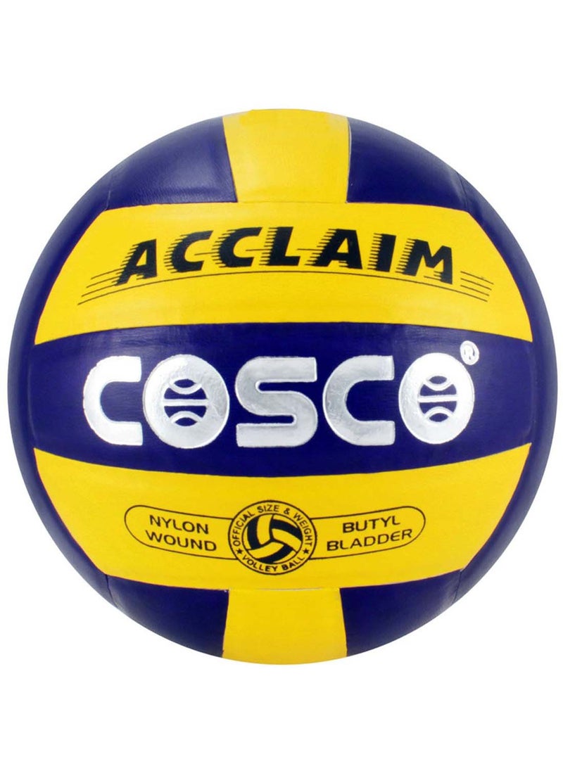 Acclaim Volleyball - pzsku/Z2919878990B802DD14F2Z/45/_/1708345433/8cdca77a-fe07-4540-b9e4-576340b93525