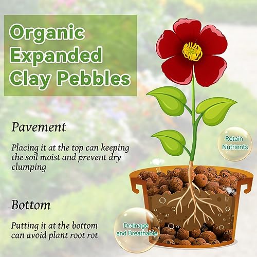 Riare 16 LBS Organic Expanded Clay Pebbles - 4mm-16mm Natural Leca Balls Lightweight Hydroponic Clay Pebbles Aggregate for Indoor Plants, Hydroponic Growing, Plants Drainage, Aquaponics - Image 3