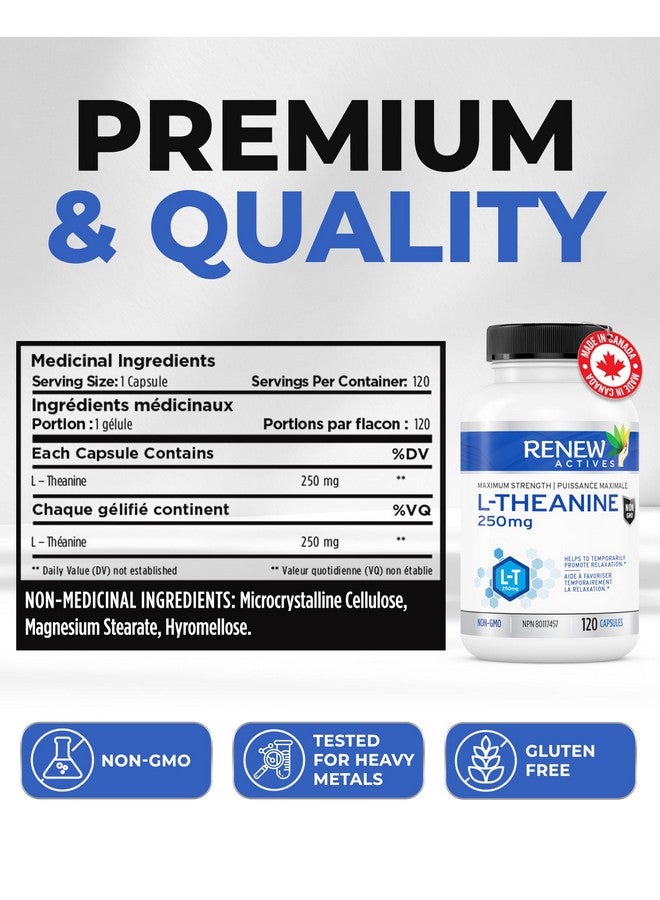 Renew Actives L-Theanine Supplements - Promotes Relaxation, Mental Clarity, & Focus - 250mg Per Serving - Non-GMO, Vegan, Gluten-Free - Made in Canada - 120 Easy-to-Swallow Capsules - Image 4