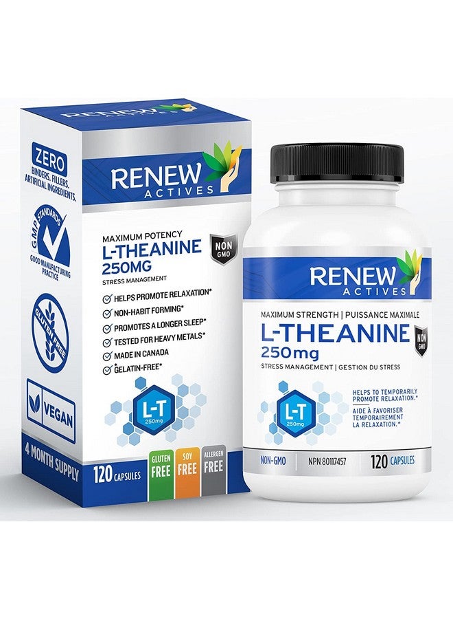 Renew Actives L-Theanine Supplements - Promotes Relaxation, Mental Clarity, & Focus - 250mg Per Serving - Non-GMO, Vegan, Gluten-Free - Made in Canada - 120 Easy-to-Swallow Capsules - Image 1