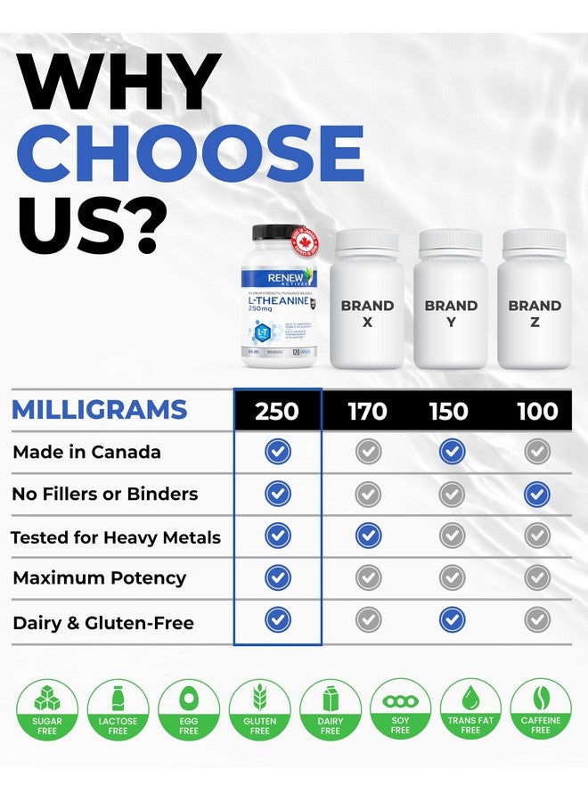 Renew Actives L-Theanine Supplements - Promotes Relaxation, Mental Clarity, & Focus - 250mg Per Serving - Non-GMO, Vegan, Gluten-Free - Made in Canada - 120 Easy-to-Swallow Capsules - Image 3