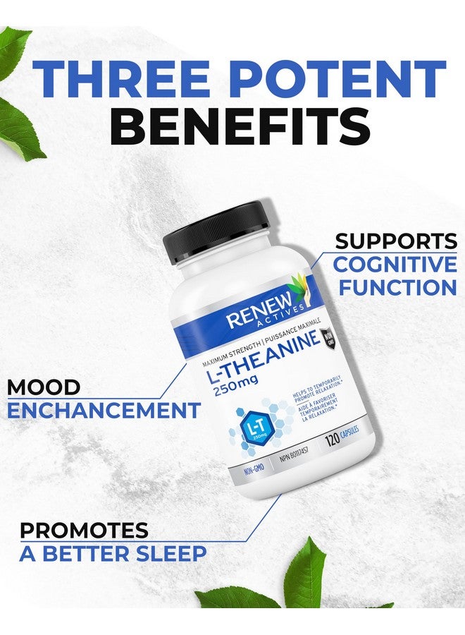 Renew Actives L-Theanine Supplements - Promotes Relaxation, Mental Clarity, & Focus - 250mg Per Serving - Non-GMO, Vegan, Gluten-Free - Made in Canada - 120 Easy-to-Swallow Capsules - Image 2