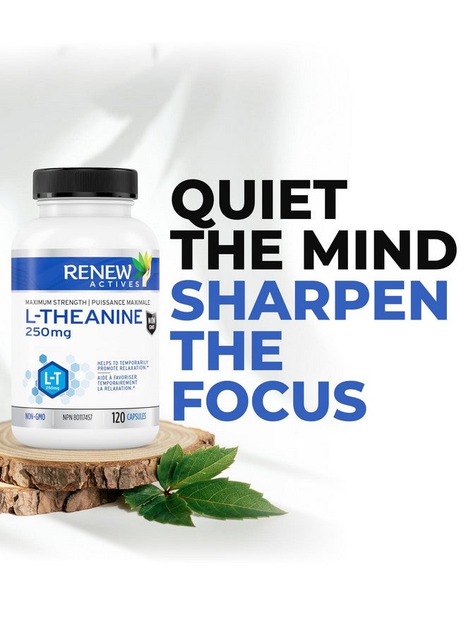 Renew Actives L-Theanine Supplements - Promotes Relaxation, Mental Clarity, & Focus - 250mg Per Serving - Non-GMO, Vegan, Gluten-Free - Made in Canada - 120 Easy-to-Swallow Capsules - Image 5