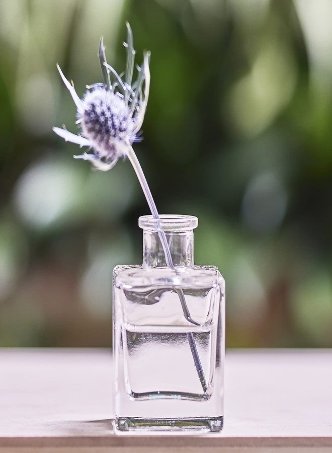 CHIVE ‘Loft’ Small Mini Flower Vases - Clear Glass Bud Vases, Set of 10 - Cute Vintage Rustic Centerpieces for Wedding, Events & Home - Premium Quality, Designed to Last - Image 4