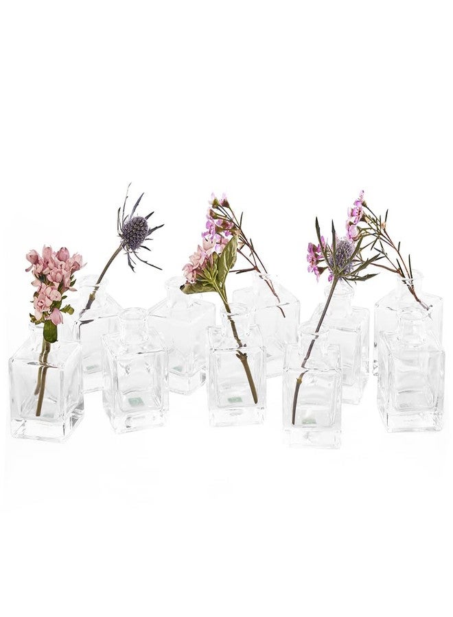 CHIVE ‘Loft’ Small Mini Flower Vases - Clear Glass Bud Vases, Set of 10 - Cute Vintage Rustic Centerpieces for Wedding, Events & Home - Premium Quality, Designed to Last - Image 3