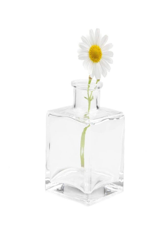 CHIVE ‘Loft’ Small Mini Flower Vases - Clear Glass Bud Vases, Set of 10 - Cute Vintage Rustic Centerpieces for Wedding, Events & Home - Premium Quality, Designed to Last - Image 5