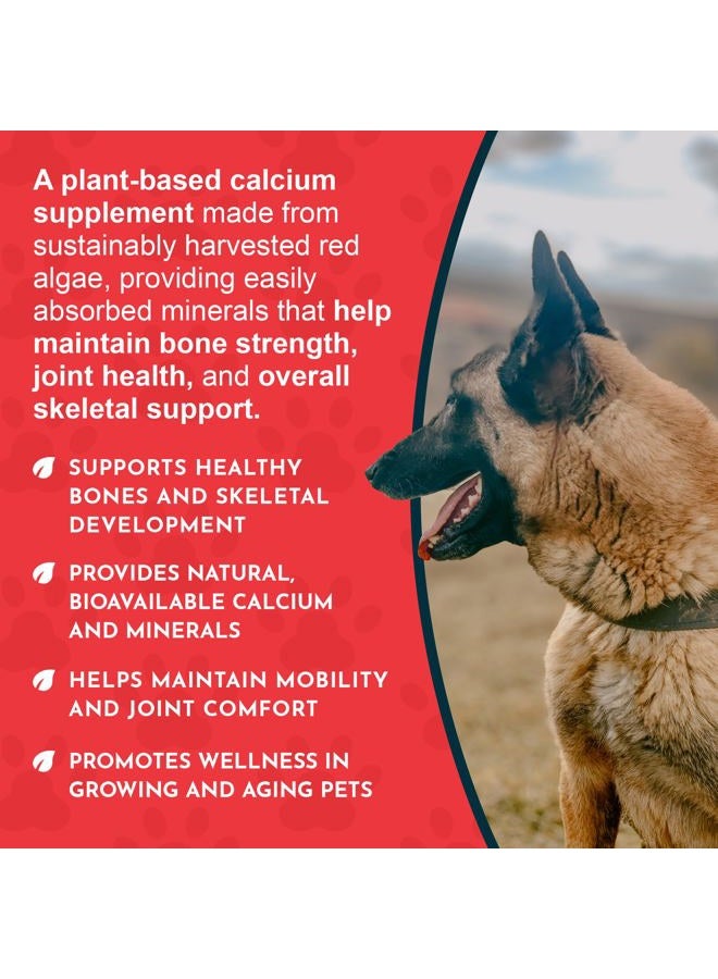 Animal Essentials Inc Seaweed Calcium Supplement for Dogs & Cats, 340 Grams (Pack of 2) - Image 5