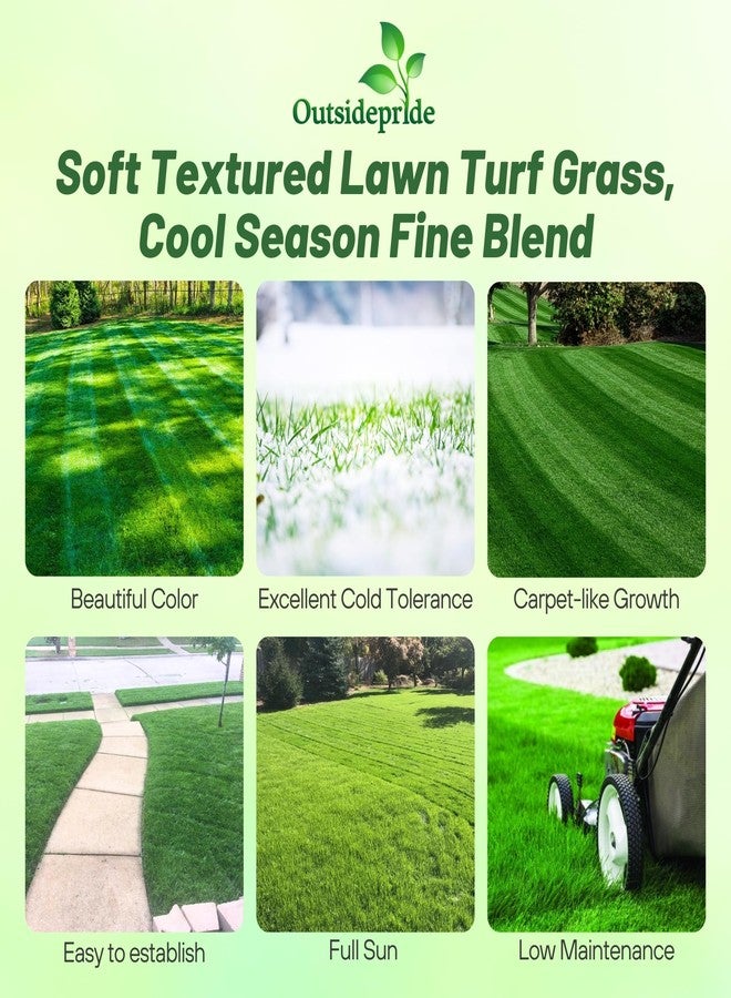 Outsidepride Midnight Kentucky Bluegrass Seed - 5 Lbs. Cold & Drought Tolerant, Sun-Loving Lawn Grass Seed, w/High Traffic Tolerance & Deep Root System, OptiGrowth Coated for Better Establishment - Image 2