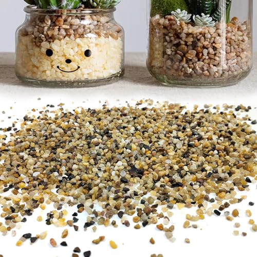 SHIZWU 5LB Coarse Sand, Colored Rocks Pebbles, Quartz Sand for Cactus Bonsai, Succulent Plant Bonsai Paving, Vase Filling Decoration, Natural Sand for Fish Tank Decoration Paving(2-4mm) - Image 3