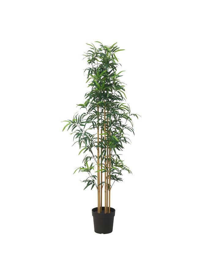 Zaboon Artificial Potted Plant, In/Outdoor Bamboo, 23 Cm - Image 1