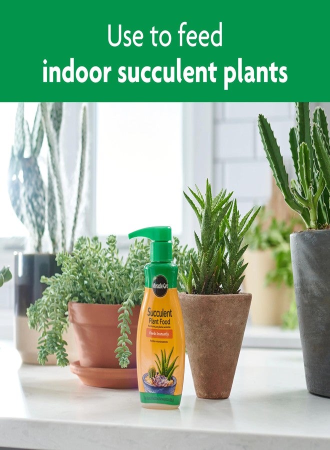 Miracle-Gro Succulent Plant Food, 8 oz., For Succulents including Cacti, Jade, And Aloe - Image 4